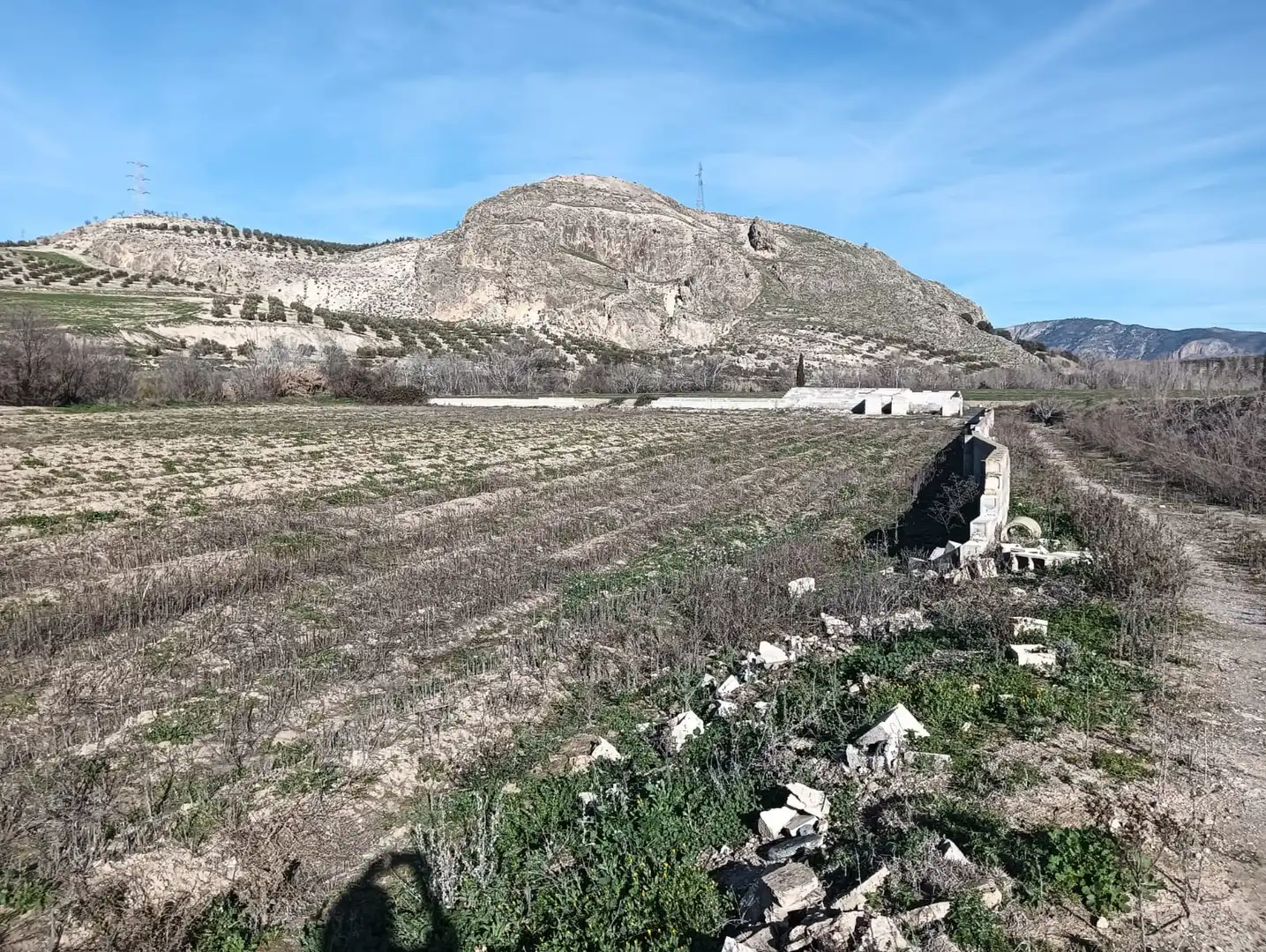 Rural land for sale in Carretera Pinos Puente, imagen 4