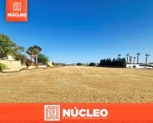 Finca rústica en venda a Catral