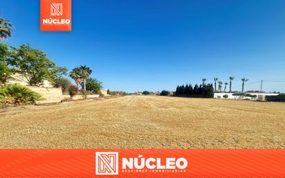 Country house for sale in Catral