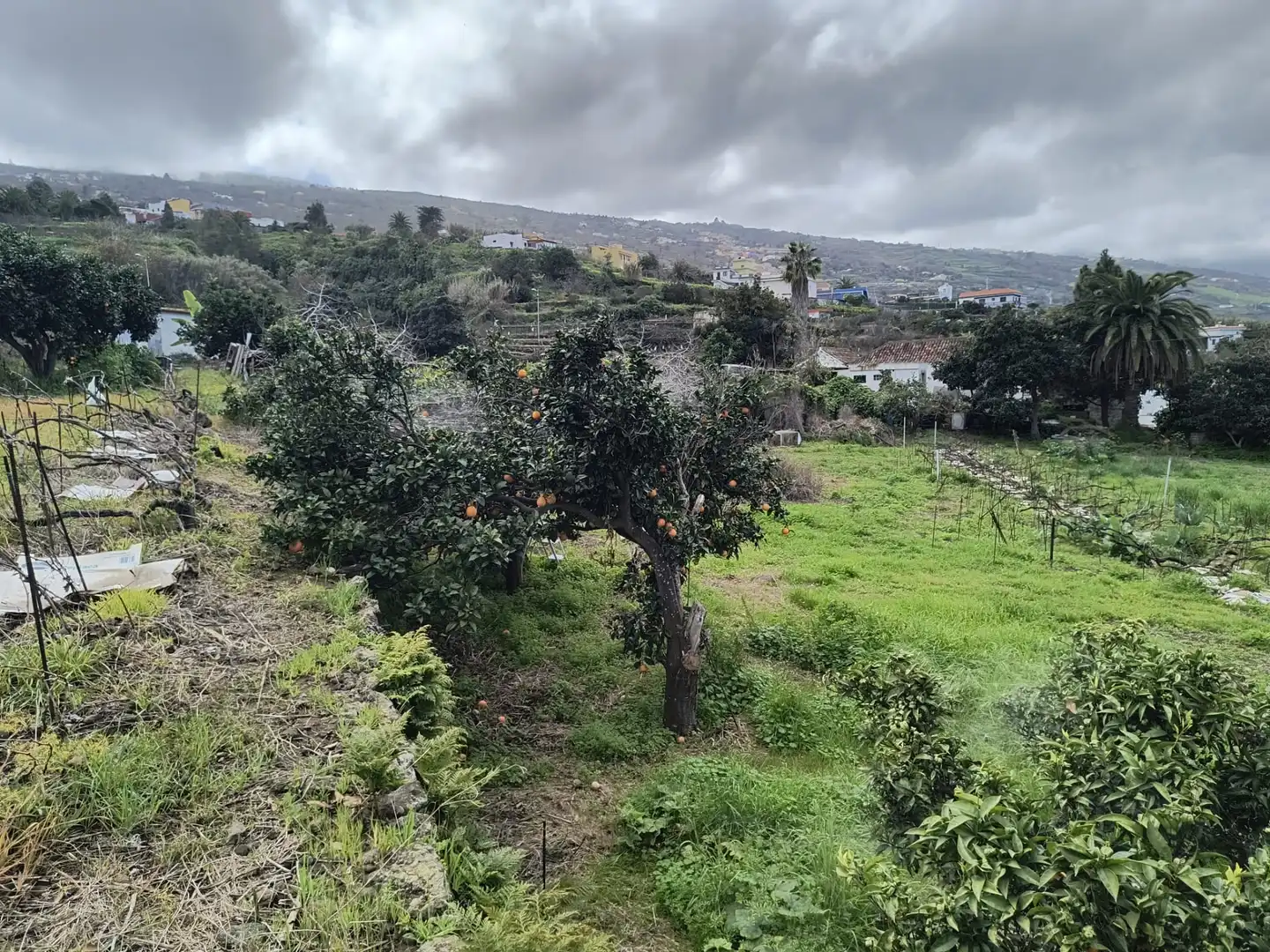 Houses for sale in La Orotava  with Private garden, Terrace and Storage room