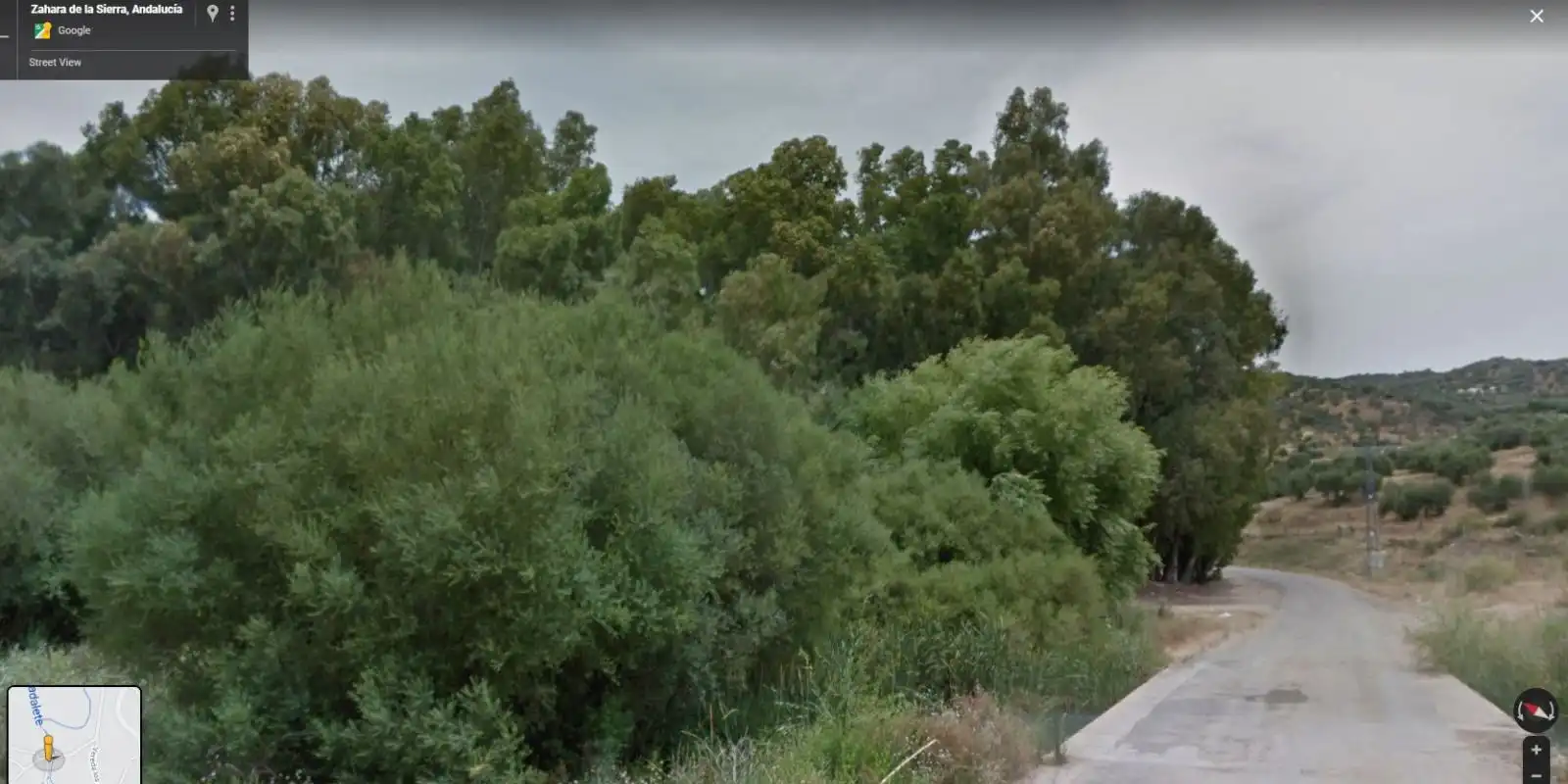 Terreny rústic en venda a Algodonales, imagen 4