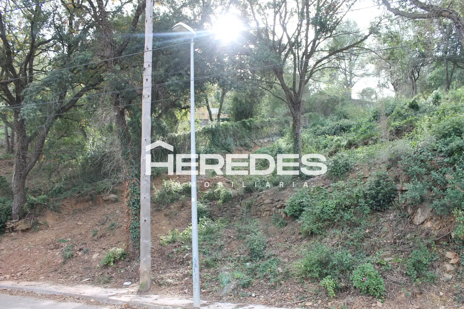 Terreno residencial en venta en Carrer dels Salzes 9, imagen 12