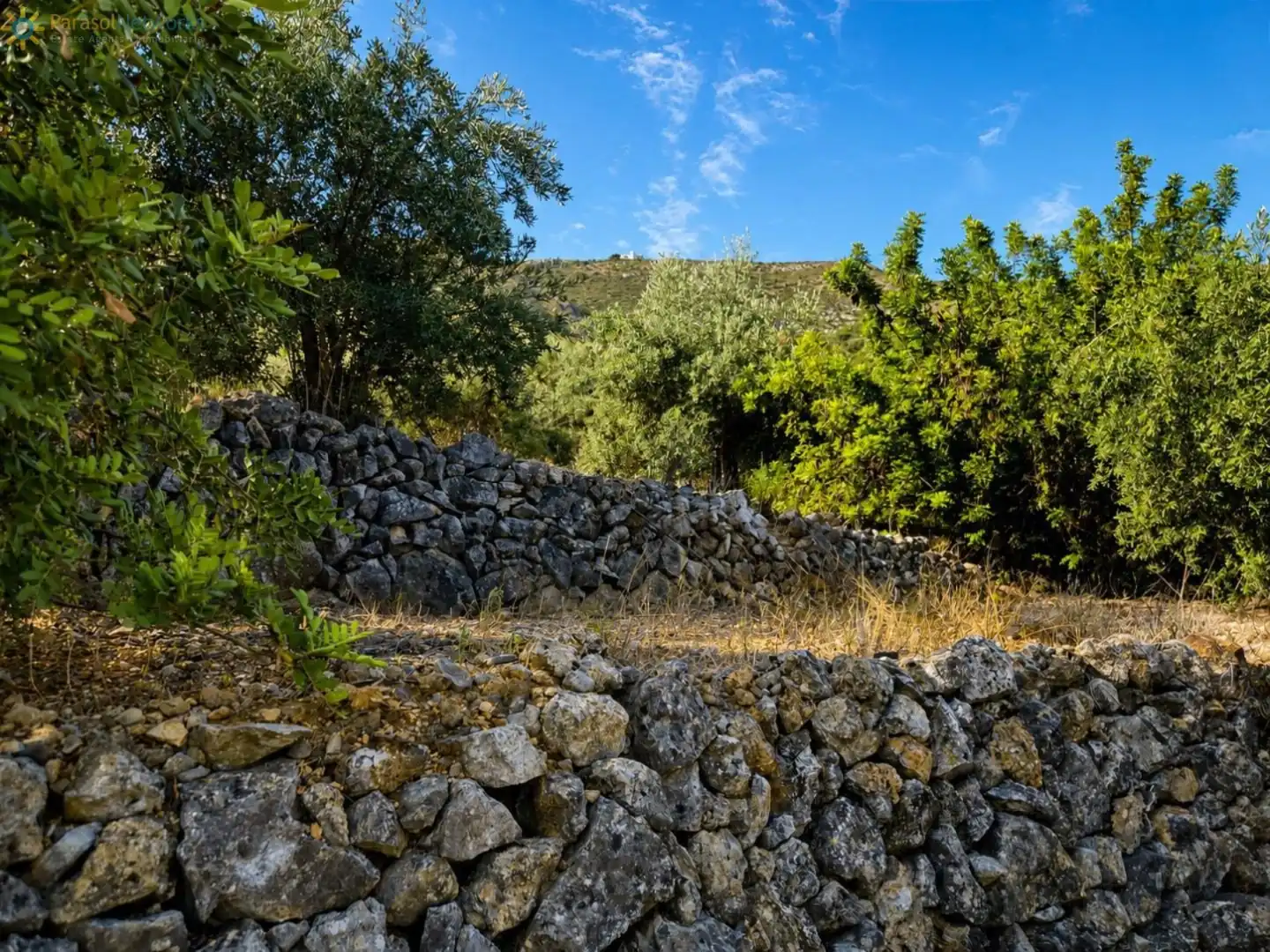 Rural land for sale in L'Atzúbia, imagen 5