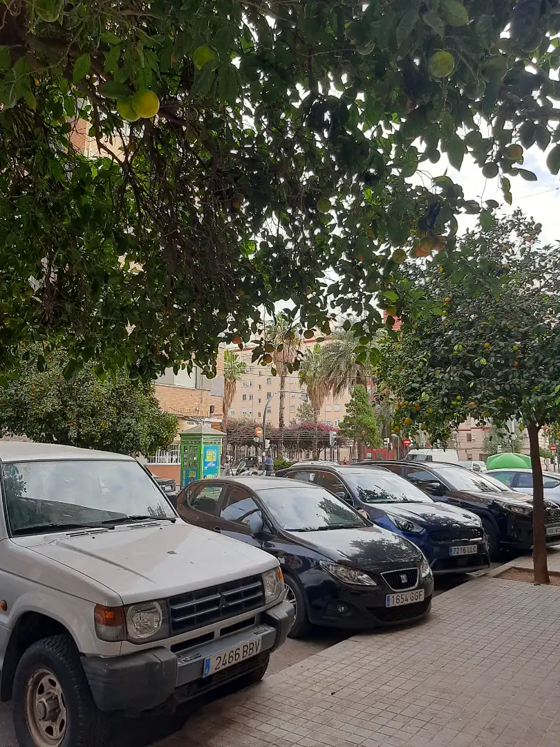 Parking de Garaje en venta en Valencia con Alarma