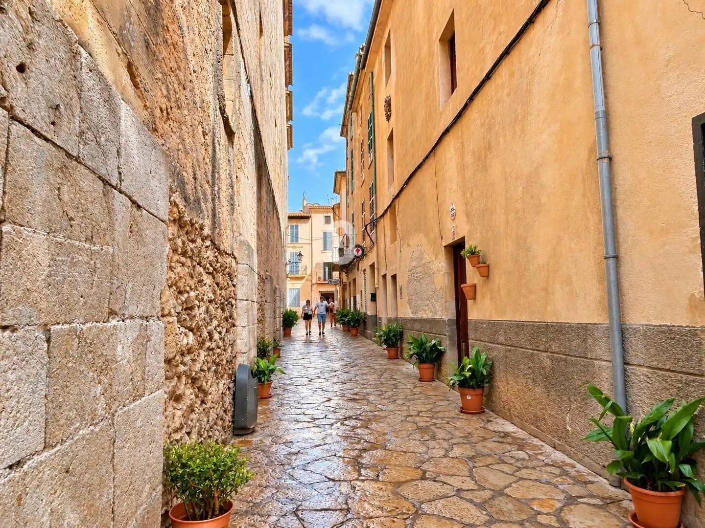 Casa con terrazza in vendita a Pollença Poble, imagen 24