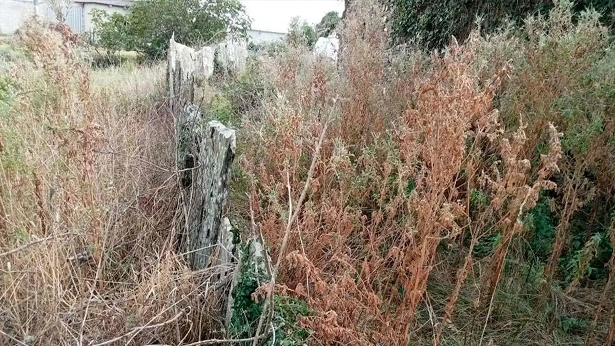 Residencial en venda a BAGUEIXOS, 5, Parroquias del Este