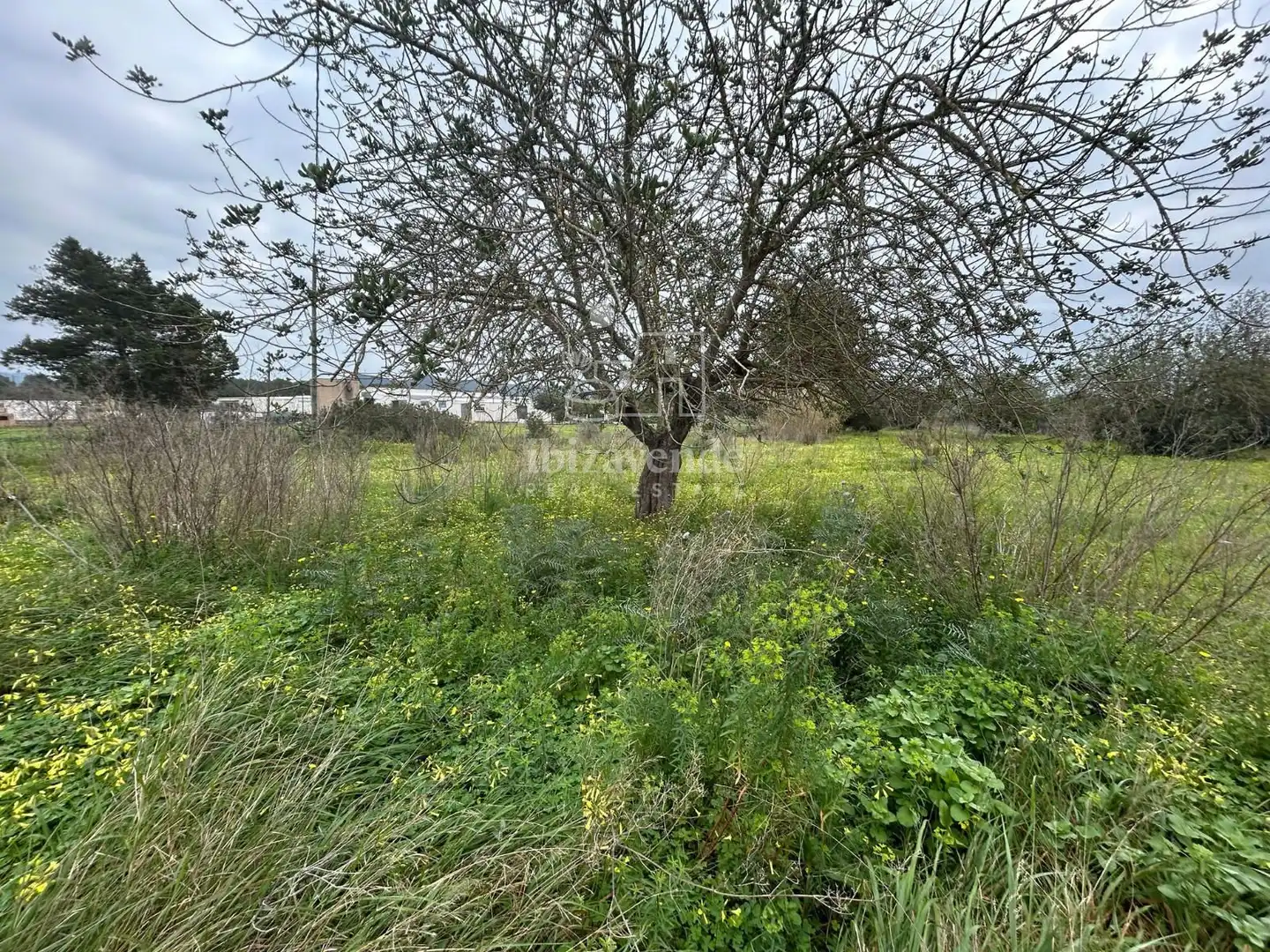Rural land for sale in San Lorenzo km 12