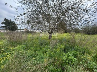 Terreno rústico en venta en San Lorenzo km 12
