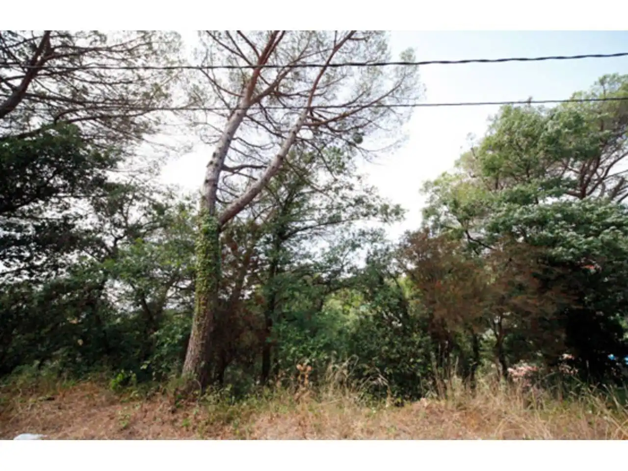 Rural land for sale in Junta de la Compensación, imagen 2