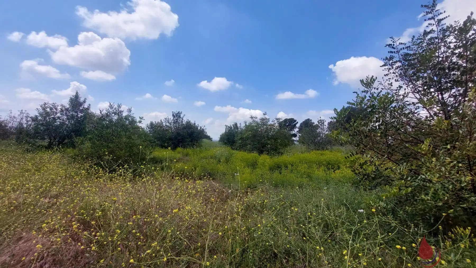 Terreno residenziale in vendita a Valls, imagen 3