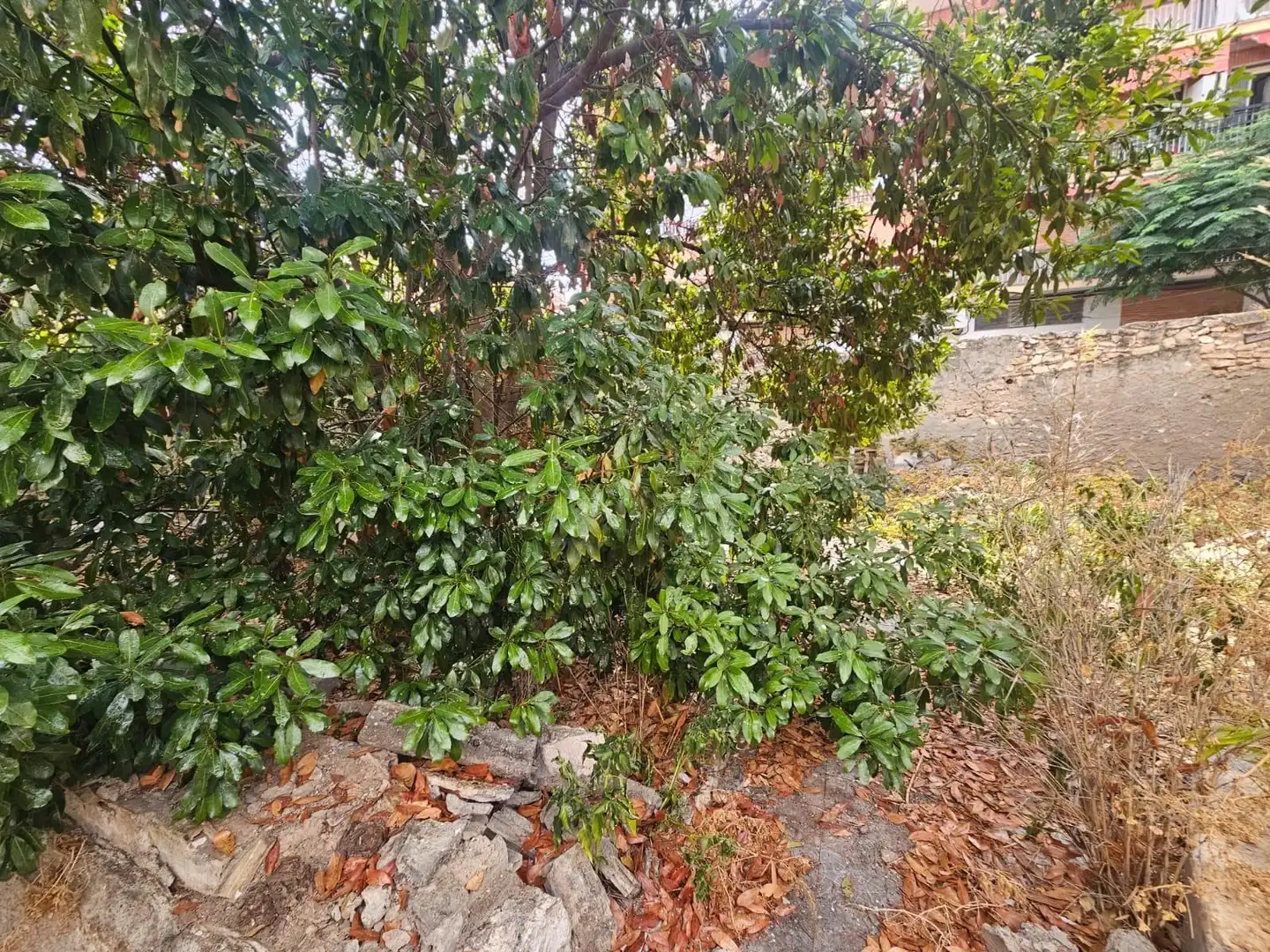 Terrenys i solars en venda a San Gabriel - Palmeral - Urbanova, imagen 4