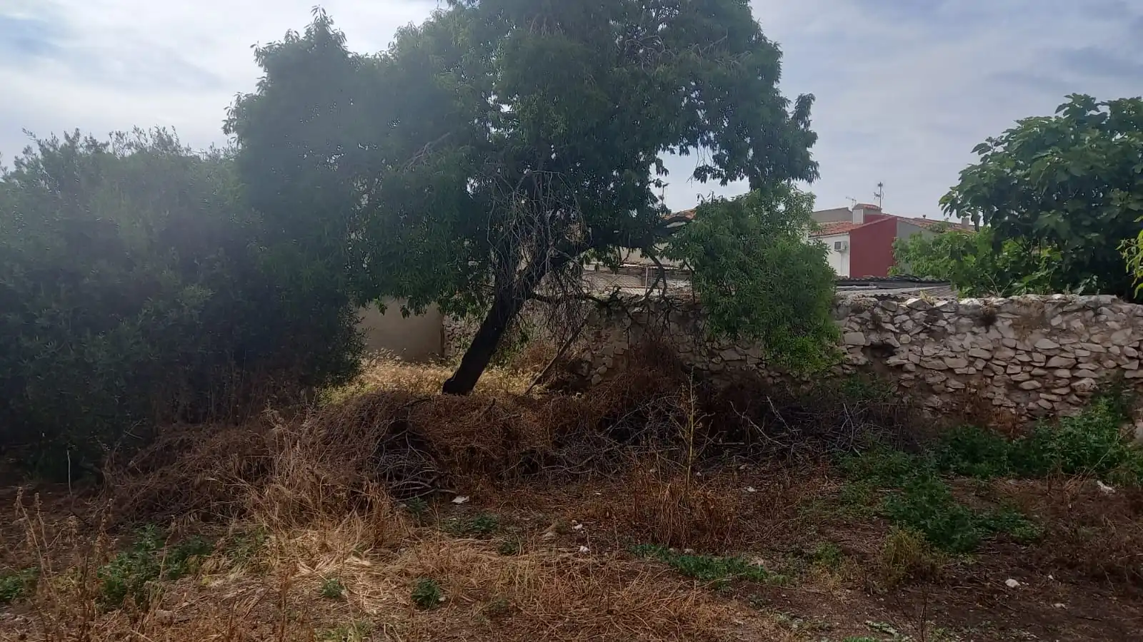 Terreno residencial en venta en Callejuela de Palacio, imagen 12
