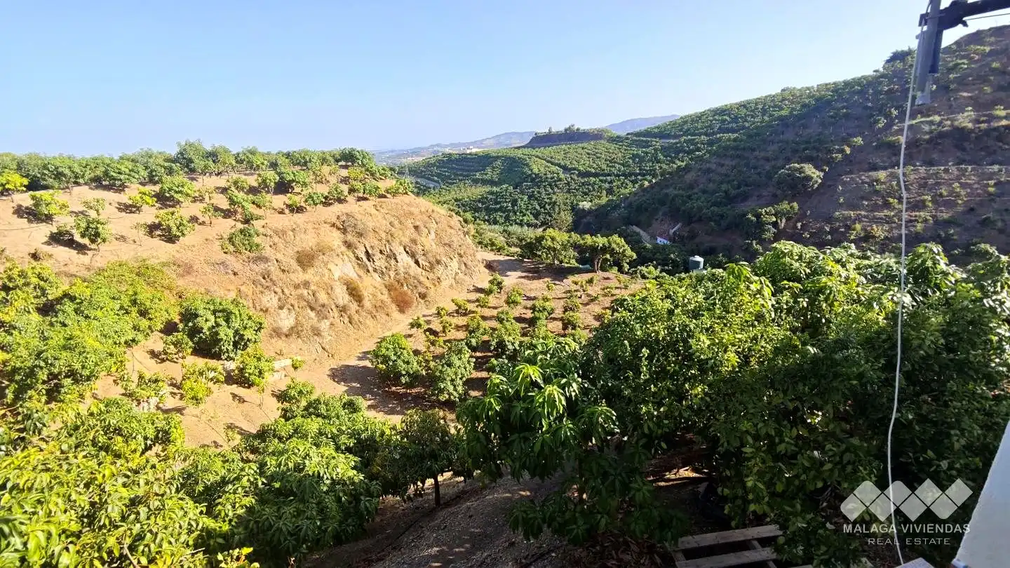 Terreno rústico en venta en Diseminado Atalaya Baja