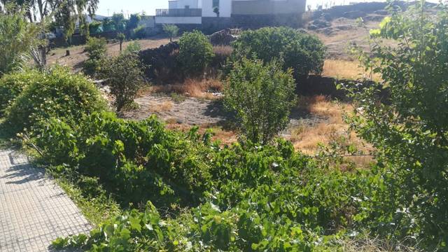 Terreno residencial en Venta en Lugar Baldio S Miguel en Alcántara