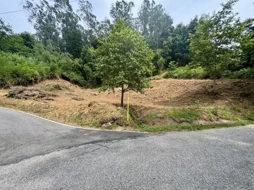 Terreno residenziale in vendita a Calle Cans
