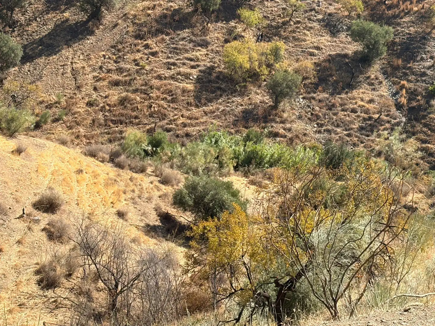 Terreno rustico in vendita a Sexmo