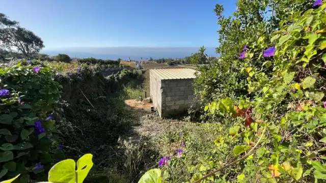 Country house zum Verkauf in Guayonje - Mesa del Mar