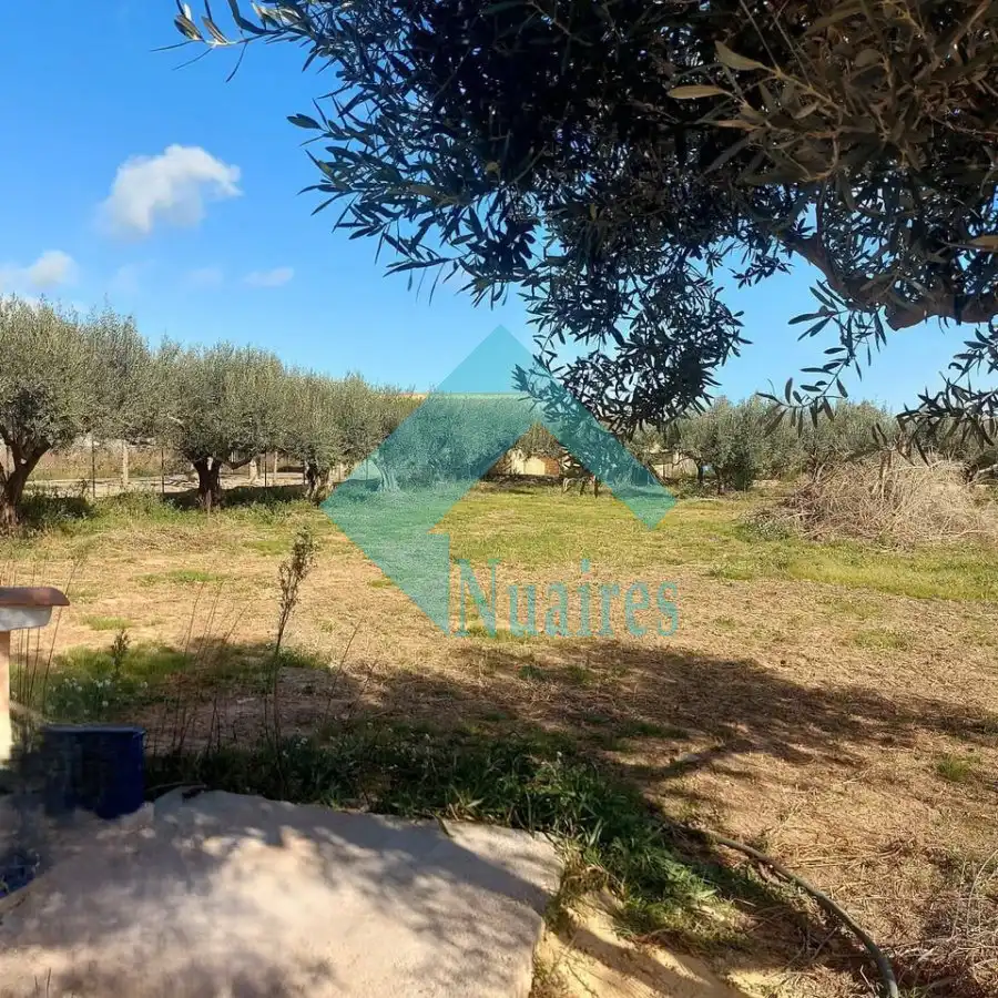Houses for rent in Castellón de la Plana / Castelló de la Plana  with Air Conditioner, Private garden and Terrace