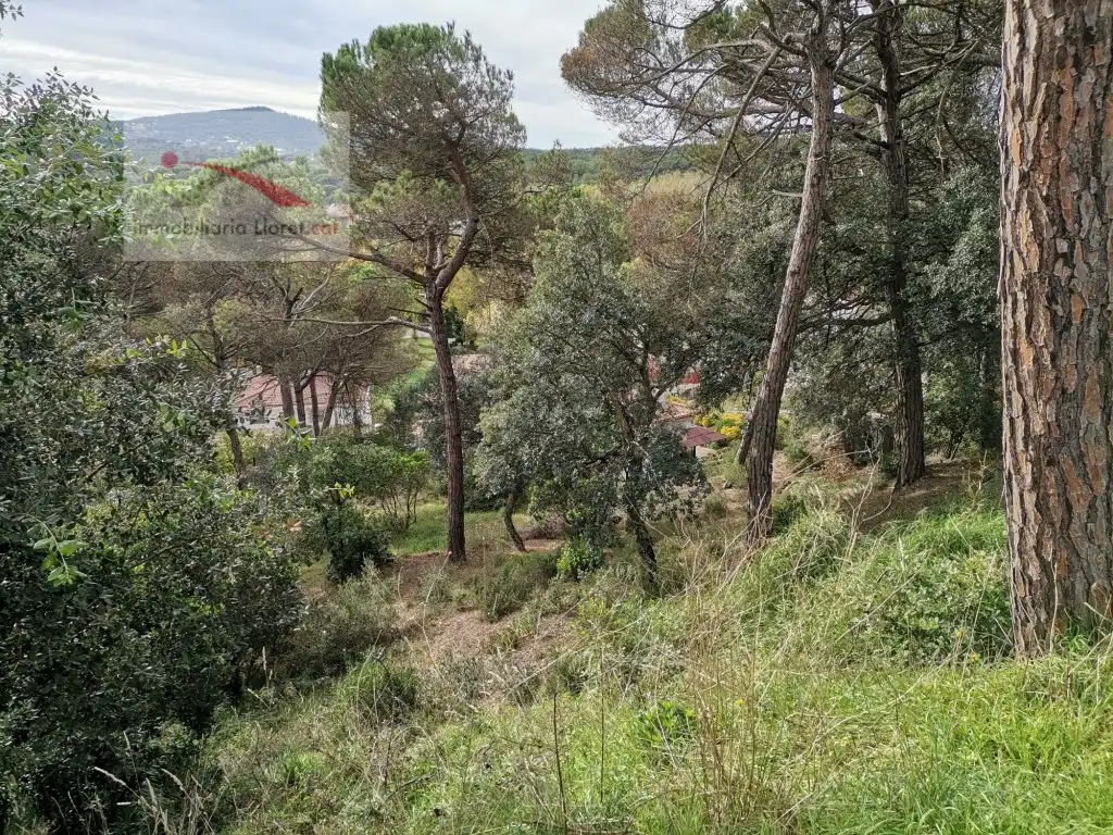 Terreny residencial en venda a Carrer del Puig Colomer 116, imagen 4