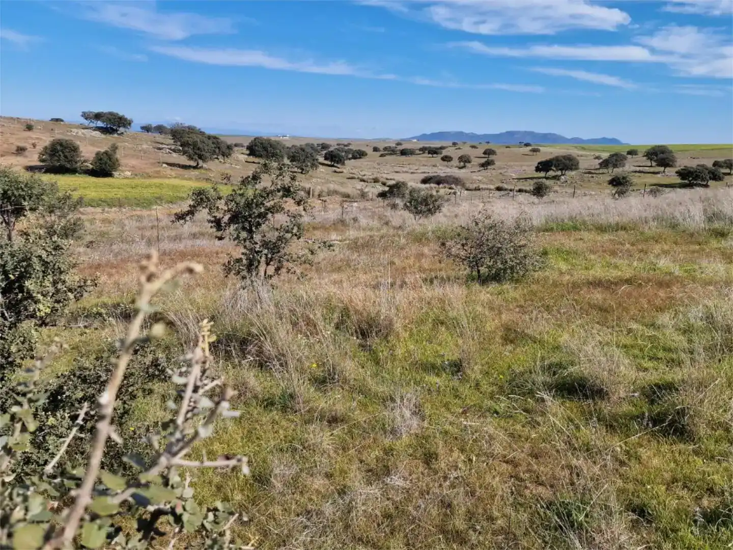 Land for sale in La Coronada, Badajoz
