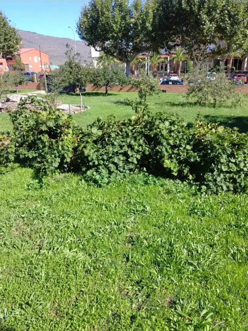 Casa o chalet en venta en Paseo de Recoletos, 32, El Tiemblo
