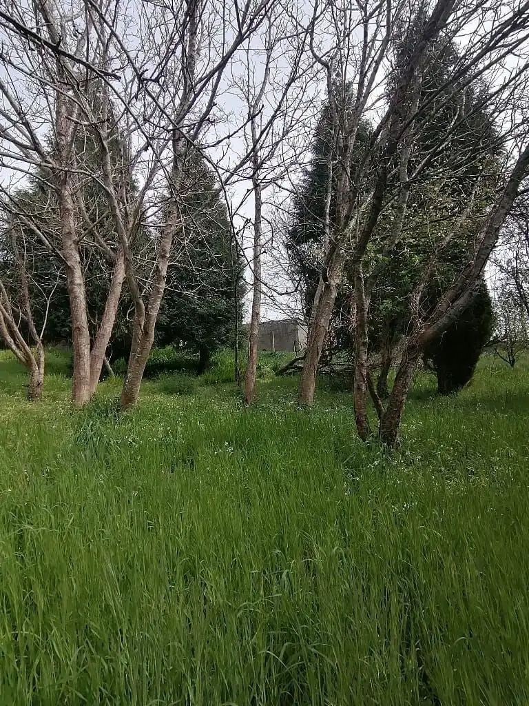 Casa con jardín en venta en A Malata - Catabois - Ciudad Jardín, imagen 14
