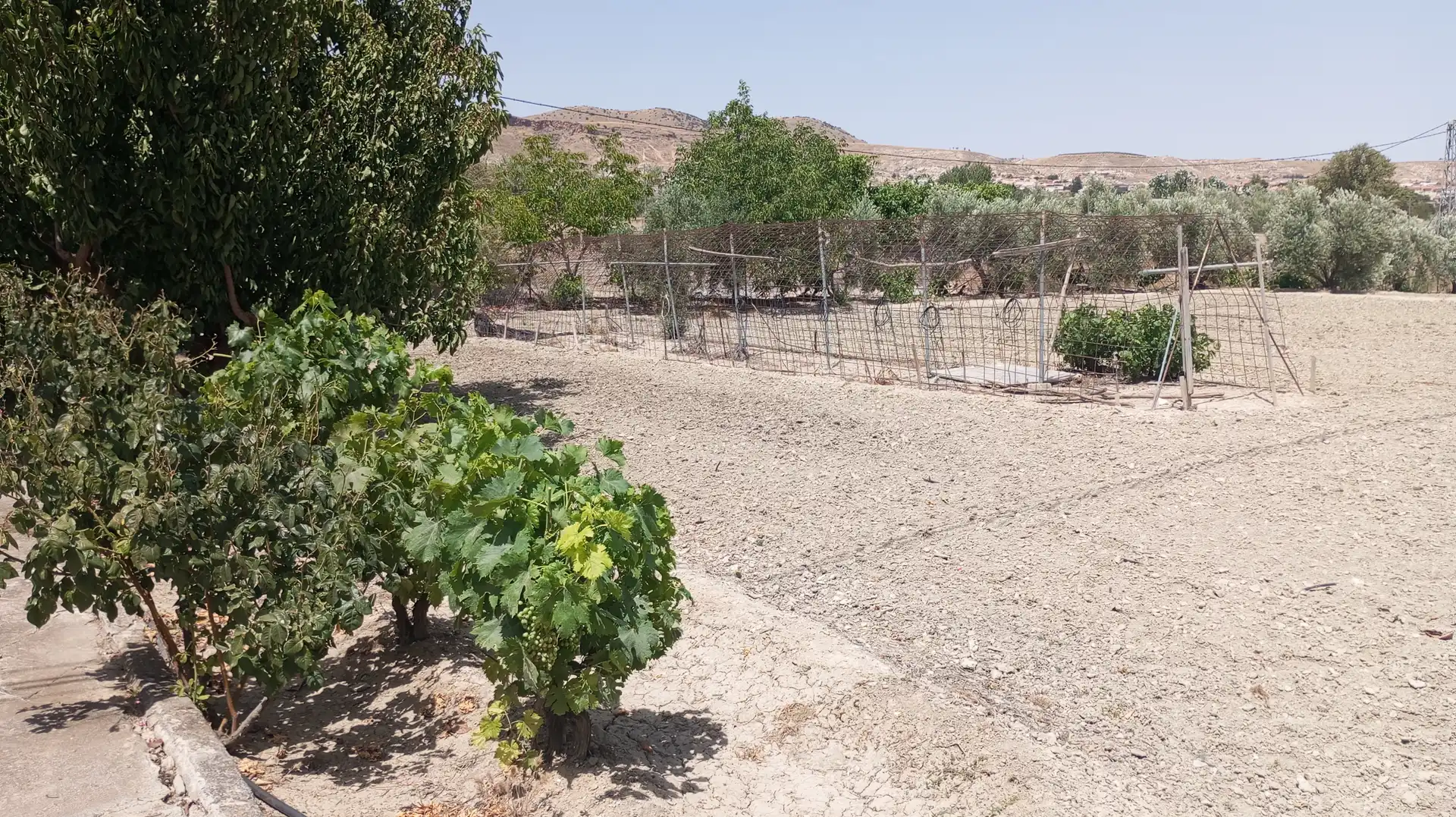 Casa o xalet en venda en Baza amb Moblat