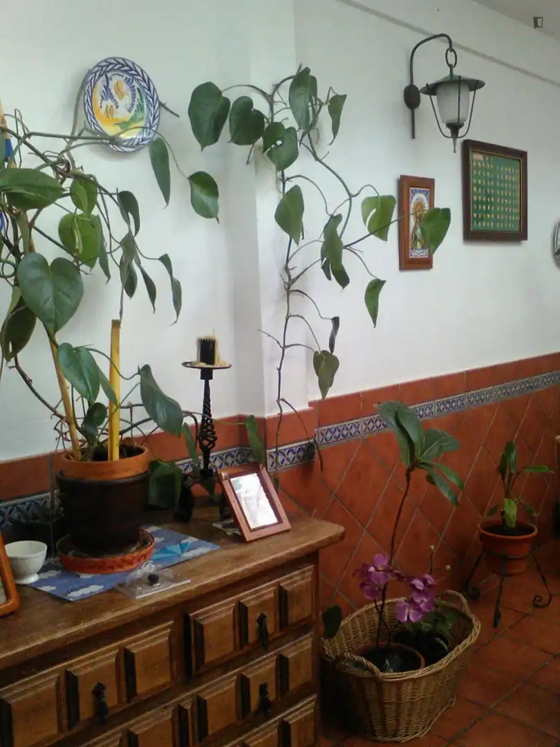 Habitación en Torreblanca