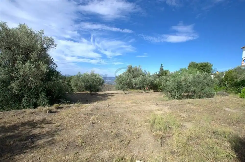 Terreno residencial en venta en Canillas de Aceituno, imagen 2