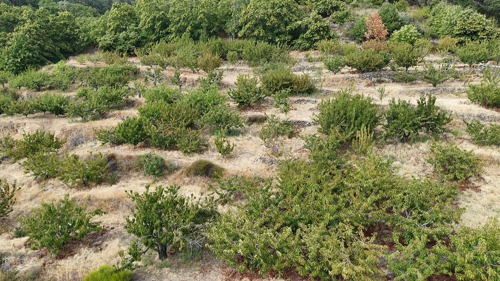 Terrain rustique à vendre à Avenida Extremadura 72, imagen 3