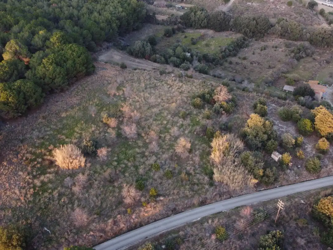 Terreno rústico en venta en Afores Llevant 85, imagen 3