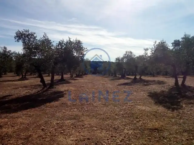 Terreny residencial en venda a Villanueva del Duque, imagen 9