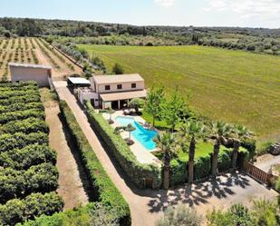 Jardí de Casa o xalet de lloguer en Ariany amb Terrassa, Piscina i Balcó