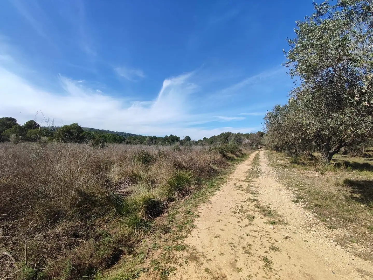 Country homes for sale in Collbató
