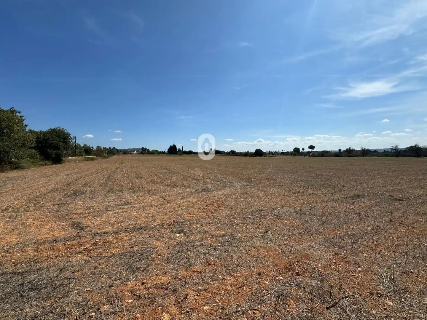 Land for sale in Inca