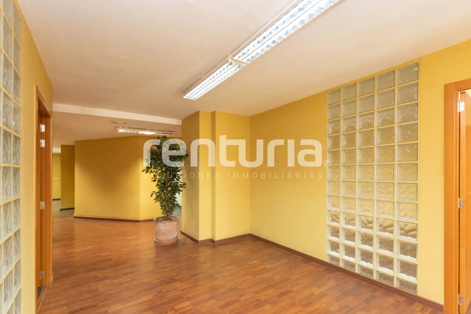 Büro mit Terrasse zur Miete in Carrer de les Garrigues, imagen 14