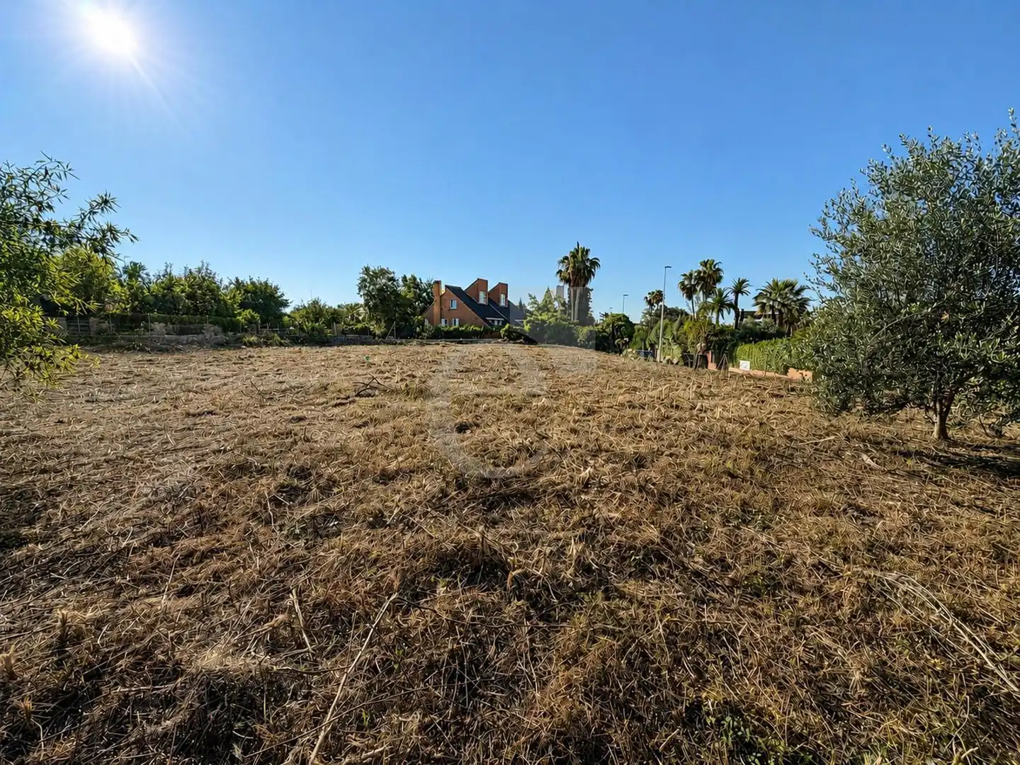 Residential land for sale in Santa Bárbara, imagen 6