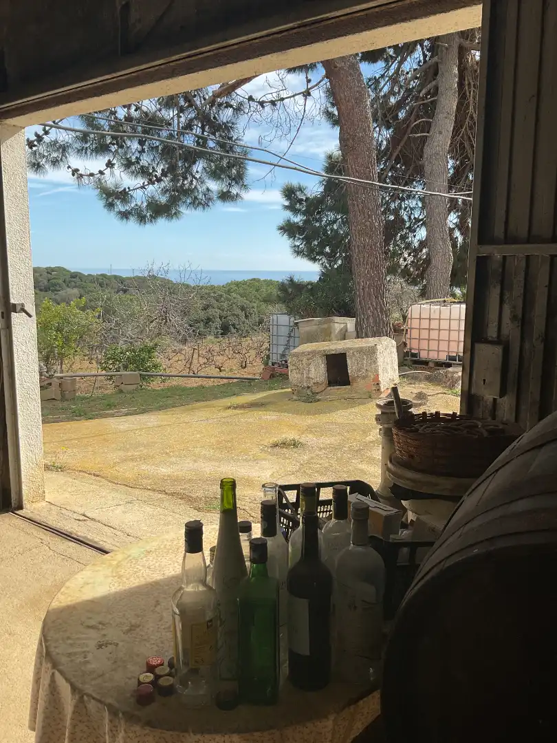 Terrain rustique à vendre à Arenys de Munt, imagen 7