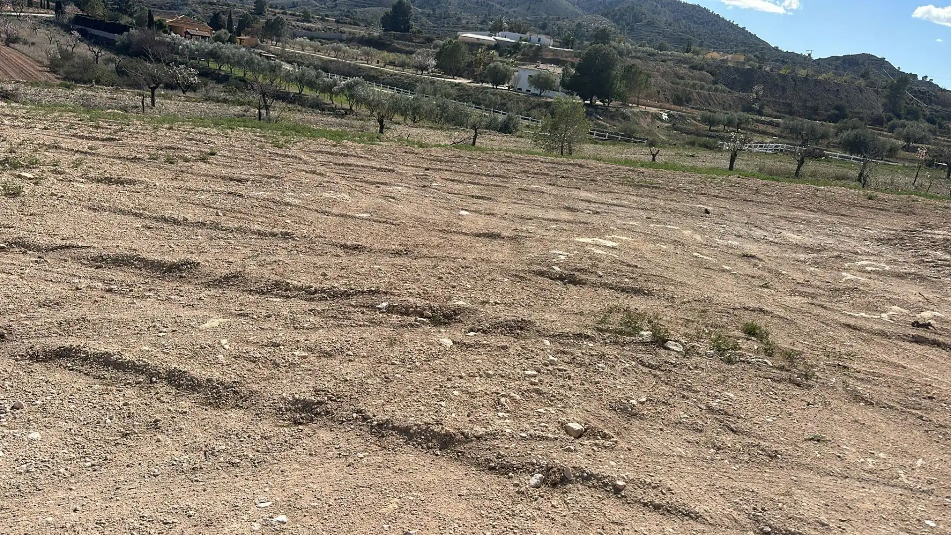 Terreno rustico in vendita a Las Trescientas - San Francisco - Ciudad Vergel, imagen 10