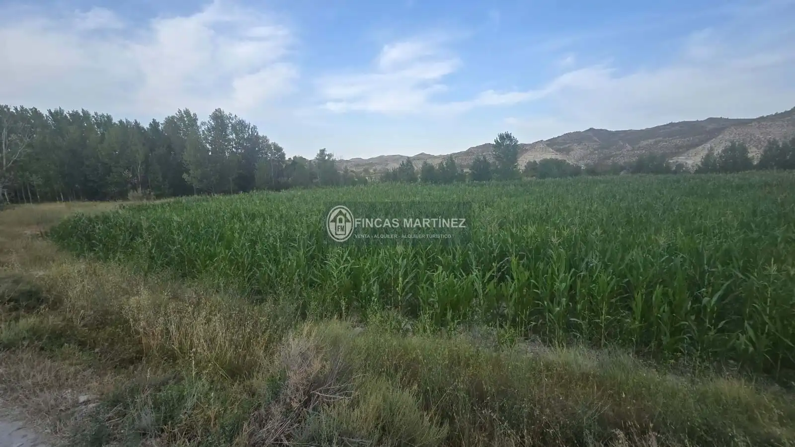 Casa o chalet en venta en Castilléjar con Trastero y Amueblado