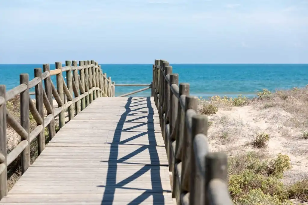 Apartments for rent in Calle VALLDIGNA, Playa de Gandia