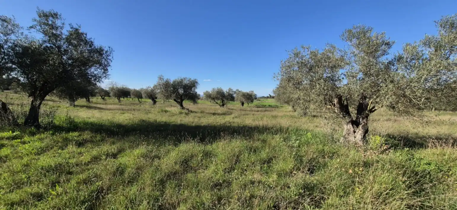 Residencial en venta en Ullastret