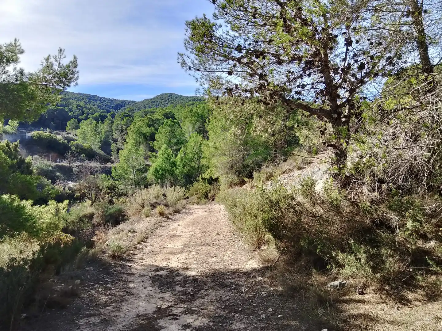 Terreno rustico in vendita a Carrer la Creu, imagen 6