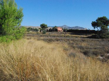 Terreny residencial en venda a Agost