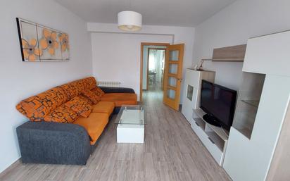 Living room of Flat for sale in Plasencia  with Air Conditioner, Heating and Furnished