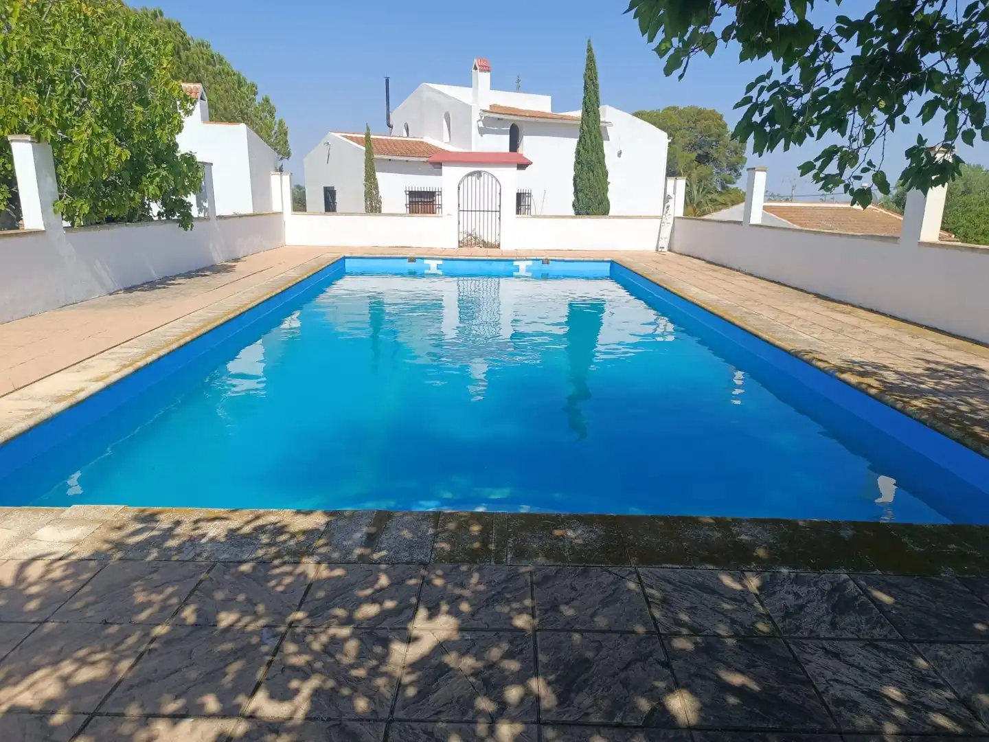 Piscina de Finca rústica en venta en Novelda con Aire acondicionado, Calefacción y Jardín privado