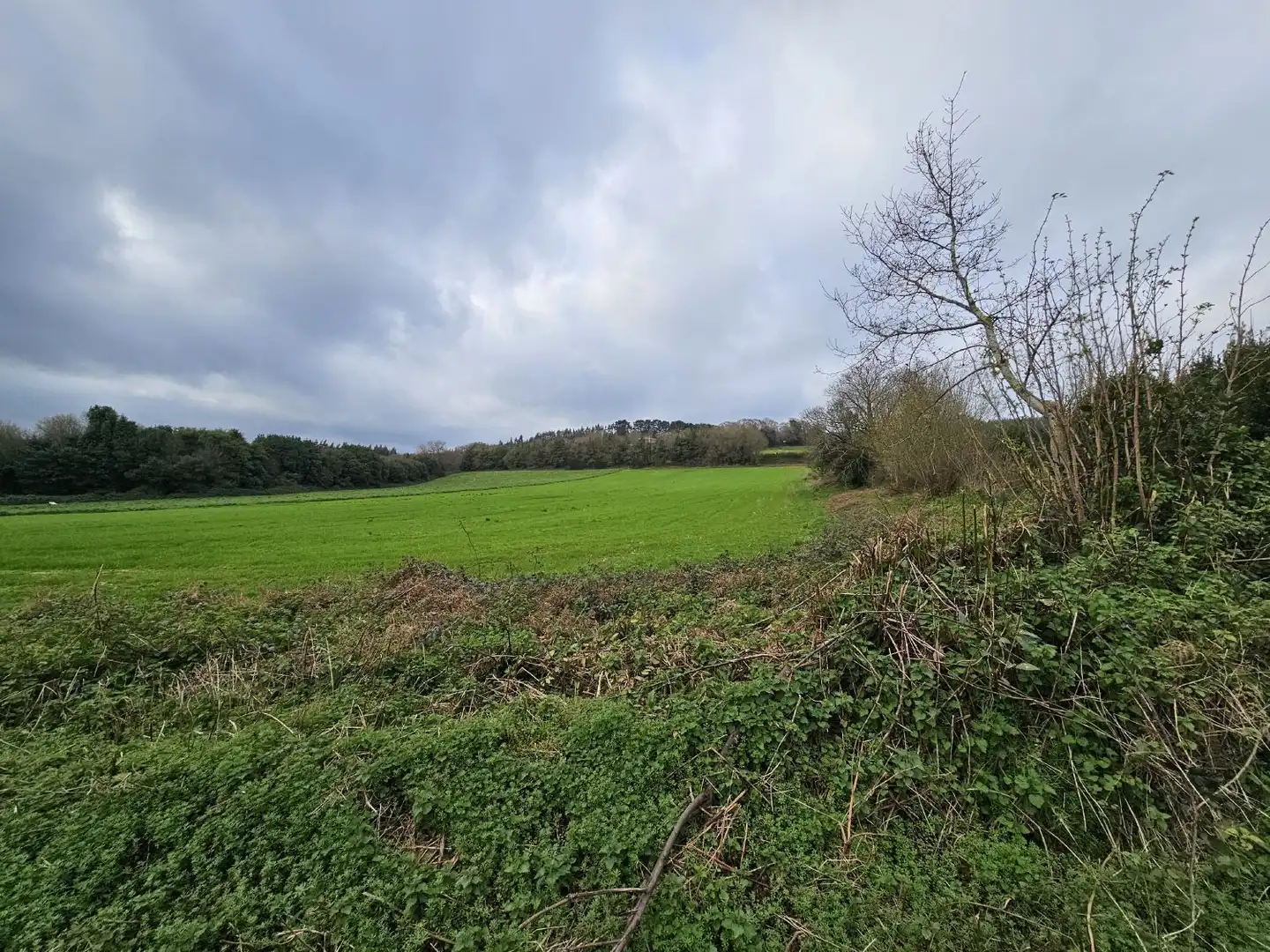Finca rústica en venta en Abegondo