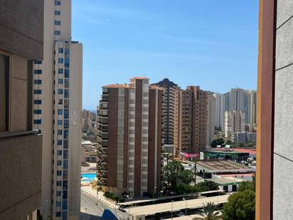 Vista exterior de Pis en venda en Benidorm amb Jardí privat, Terrassa i Piscina comunitària