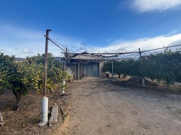 Terreny rústic en venda a Xerta