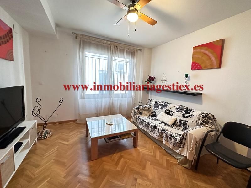 Sala d'estar de Planta baixa en venda en Almendralejo